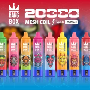 bangbox 20000 puffs 10 packs or more