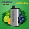 Gunnpod EVO Lime Citrus Berry 15K lime citrus berry.webp