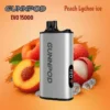 Gunnpod EVO Peach lychee Ice 15000 peach lychee ice.webp