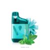 VUSE GO 1000 - POLAR MINT import placeholder for 9575512211751