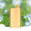 Alibarbar Rich 8000 Puffs – Mint Breeze import placeholder for 8713