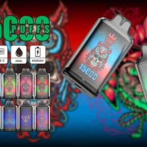 bang box 15000 puff 10 packs or more