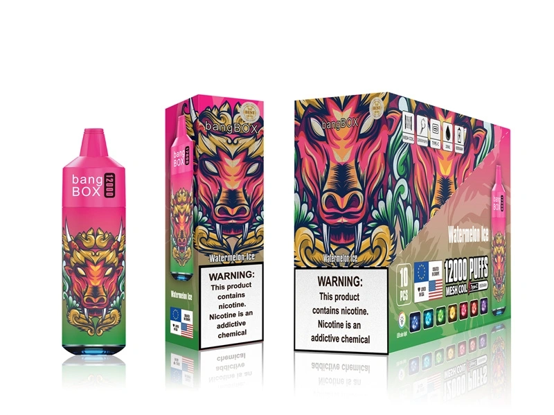 bangbox 12000 puffs disposable vape – multiple flavor bangbox 12000 puffs disposable vape – multiple flavor