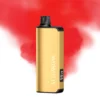ALIBARBAR INGOT FTP 9000 Puffs 10 pack on sale import placeholder for 4245