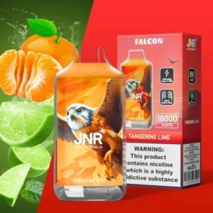 jnr falcon 16000 puffs 30 packs (ship from oversea)