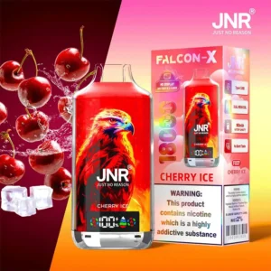 jnr falcon x 18000 puffs 30 pack (ship from oversea)