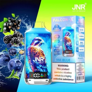 jnr falcon x 18000 puffs 30 pack (ship from oversea)