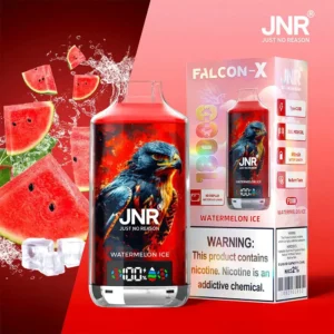 jnr falcon x 18000 puffs 30 pack (ship from oversea)