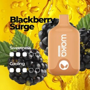 blackberry surge 1.jpg