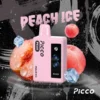 picco peak 6k 04 600x600 1.webp